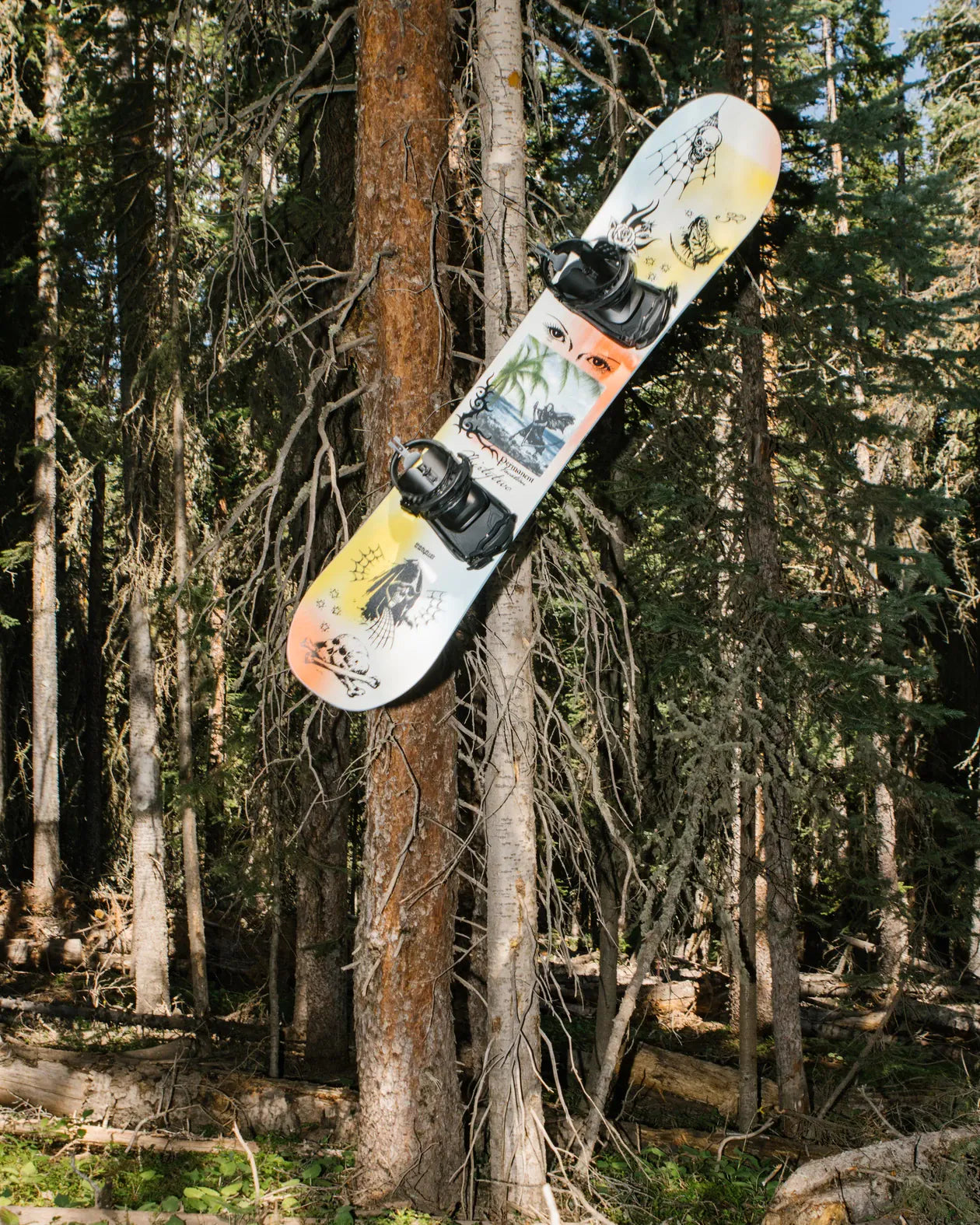 Permanent Vacation Snowboards Thirtytwo Snowboard gear boots and bindings